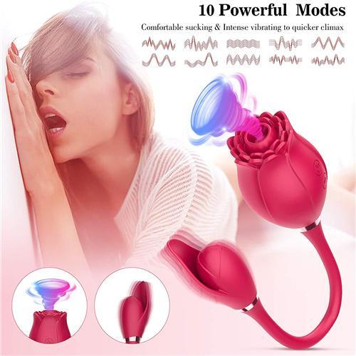 2 in1 Long Rose Vibrator Purple - Delightor