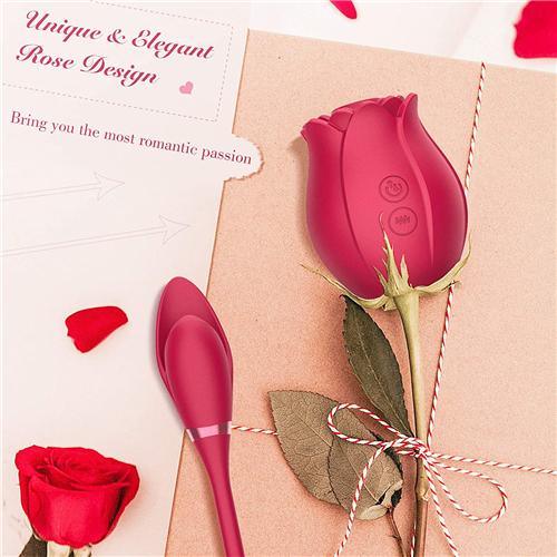 2 in1 Long Rose Vibrator Purple - Delightor