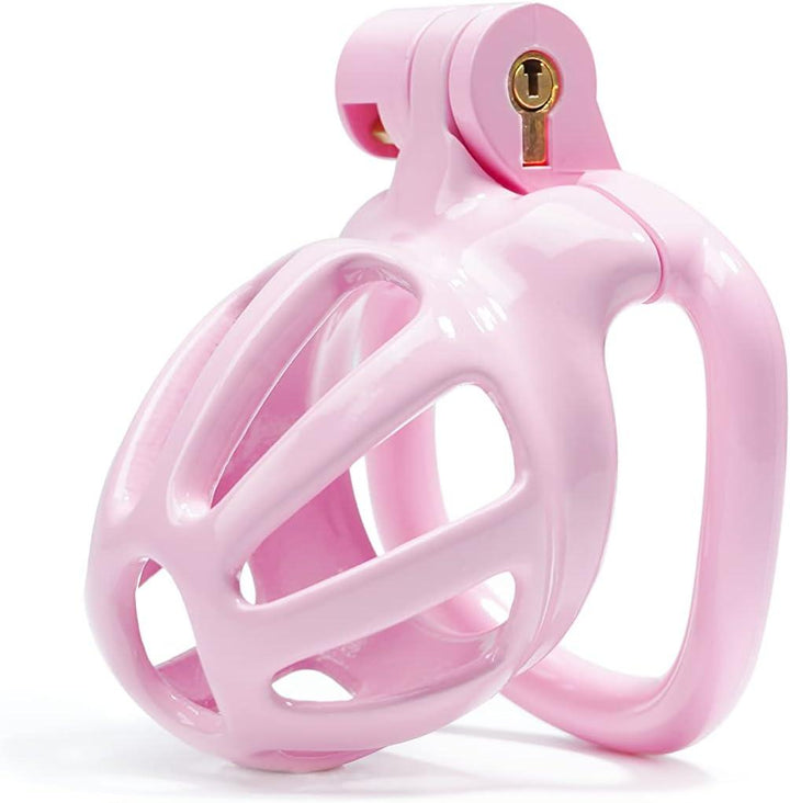 Male Chastity Cage with Lock - Delightor